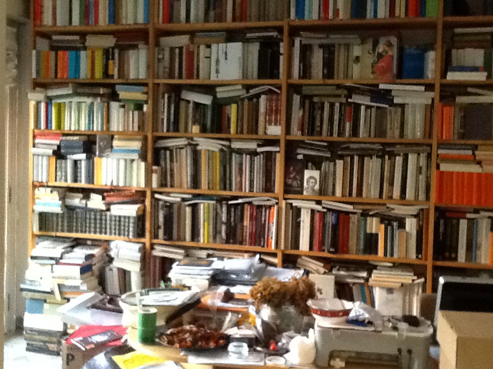 Immagini della biblioteca di Ezio Raimondi