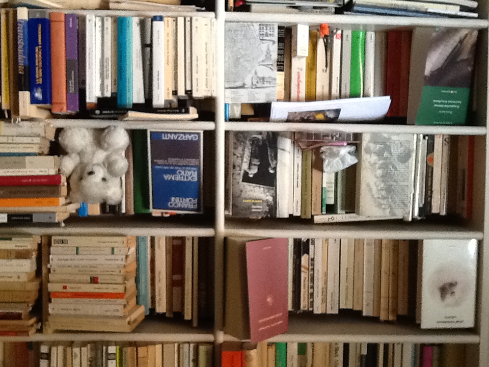 Immagini della biblioteca di Ezio Raimondi