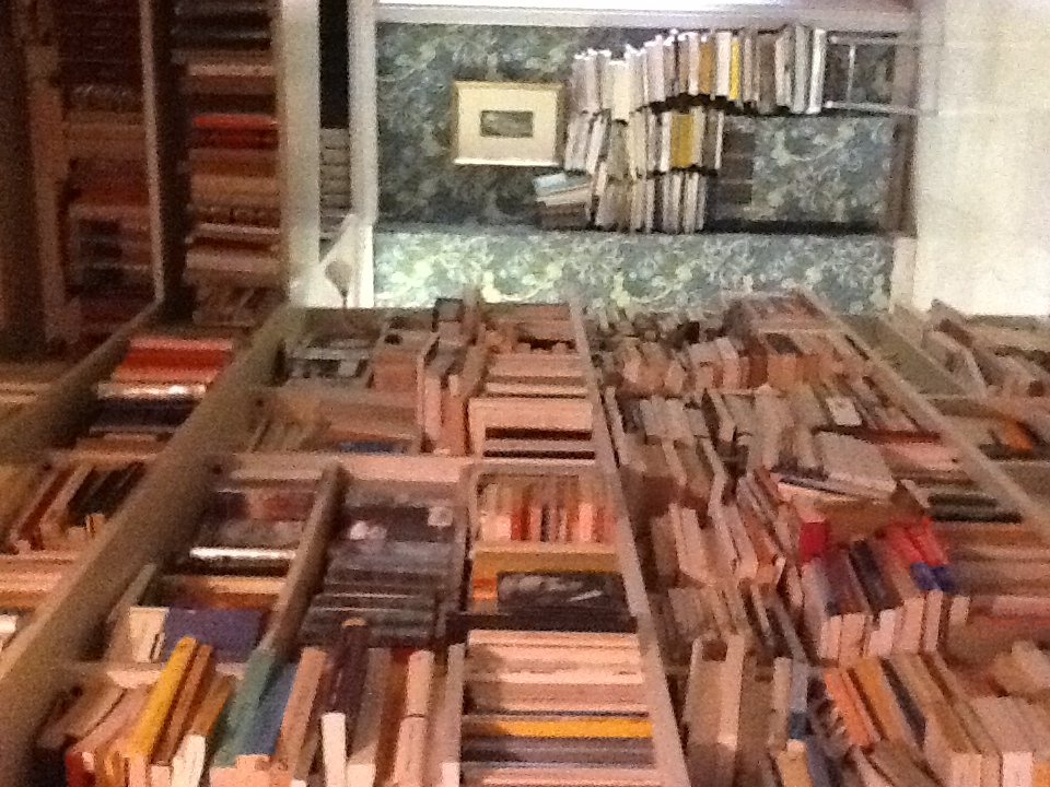 Immagini della biblioteca di Ezio Raimondi