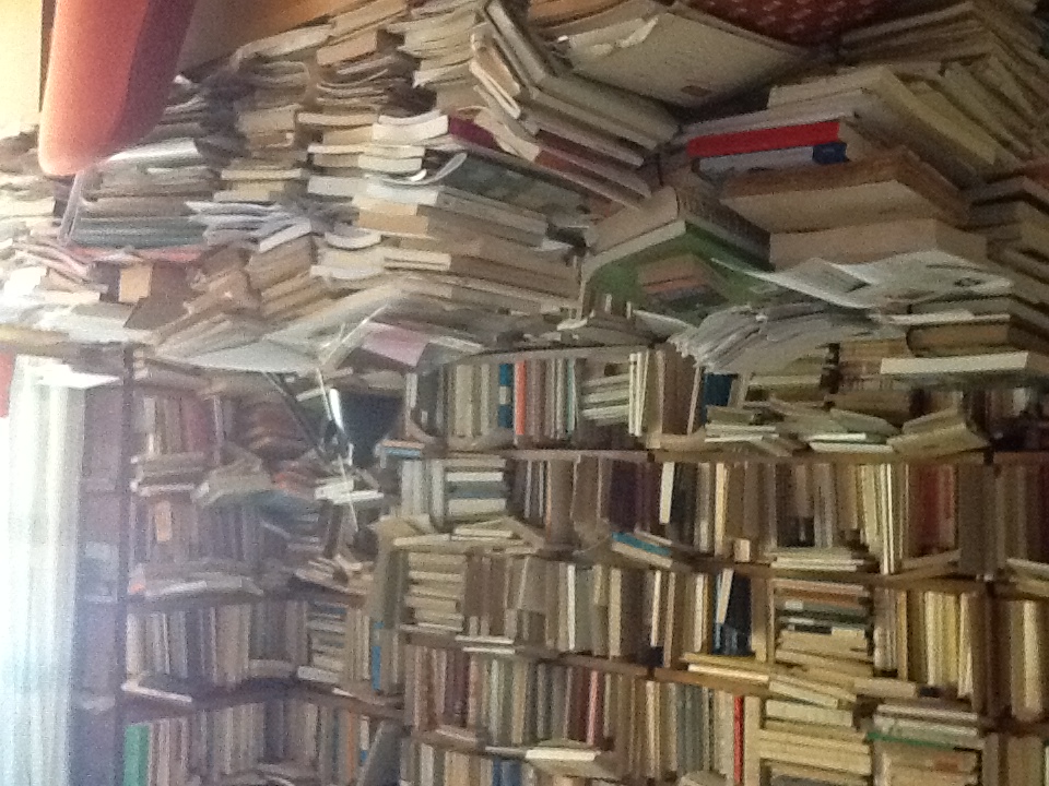 Immagini della biblioteca di Ezio Raimondi